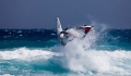 20090120_lav_02407